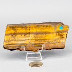 Tiger's Eye Polished Slices, Golden Healing Stone