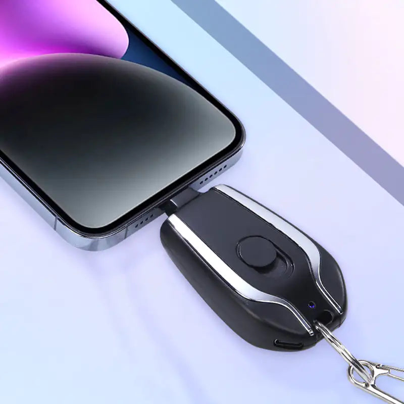 Charger Keychain Pi-Mart