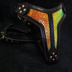 The ''D`Albertis'' harness LIMITED - SJB-DIAMOND ELITES