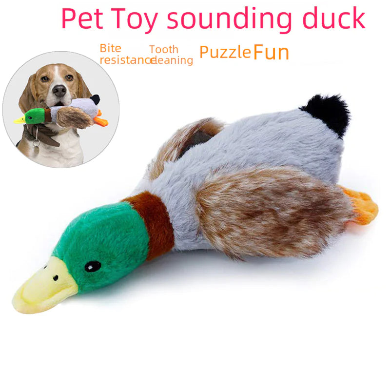 Quack Play Plush Dog Toy Pi-Mart