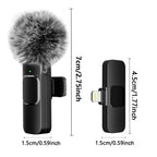 Rechargeable Wireless Microphone Pi-Mart