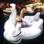 Inflatable Swimming Pool Float Pi-Mart