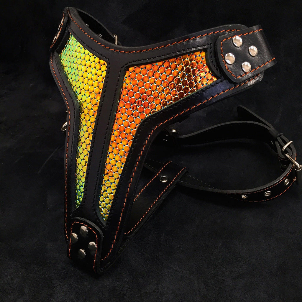 The ''D`Albertis'' harness LIMITED - SJB-DIAMOND ELITES