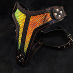 The ''D`Albertis'' harness LIMITED - SJB-DIAMOND ELITES