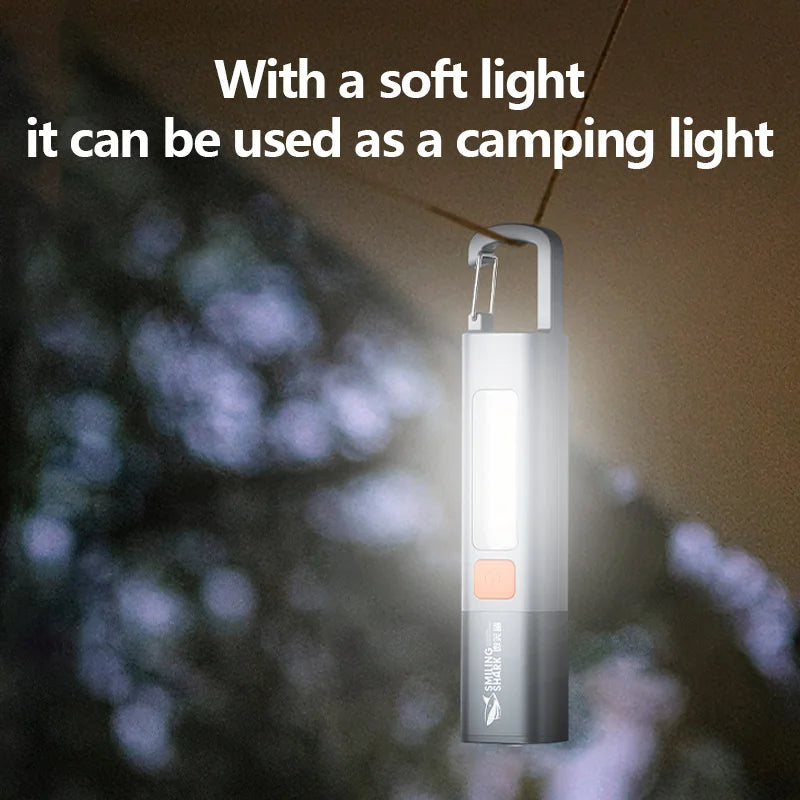 Torch Super Bright Light Pi-Mart