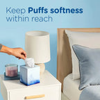 Puffs Ultra Soft Non-Lotion Facial Tissue, 8 Family Boxes, 124 Facial Tissues per Box 124 Count (Pack of 8)