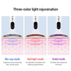Beauty LED Massager Lootquake LLC