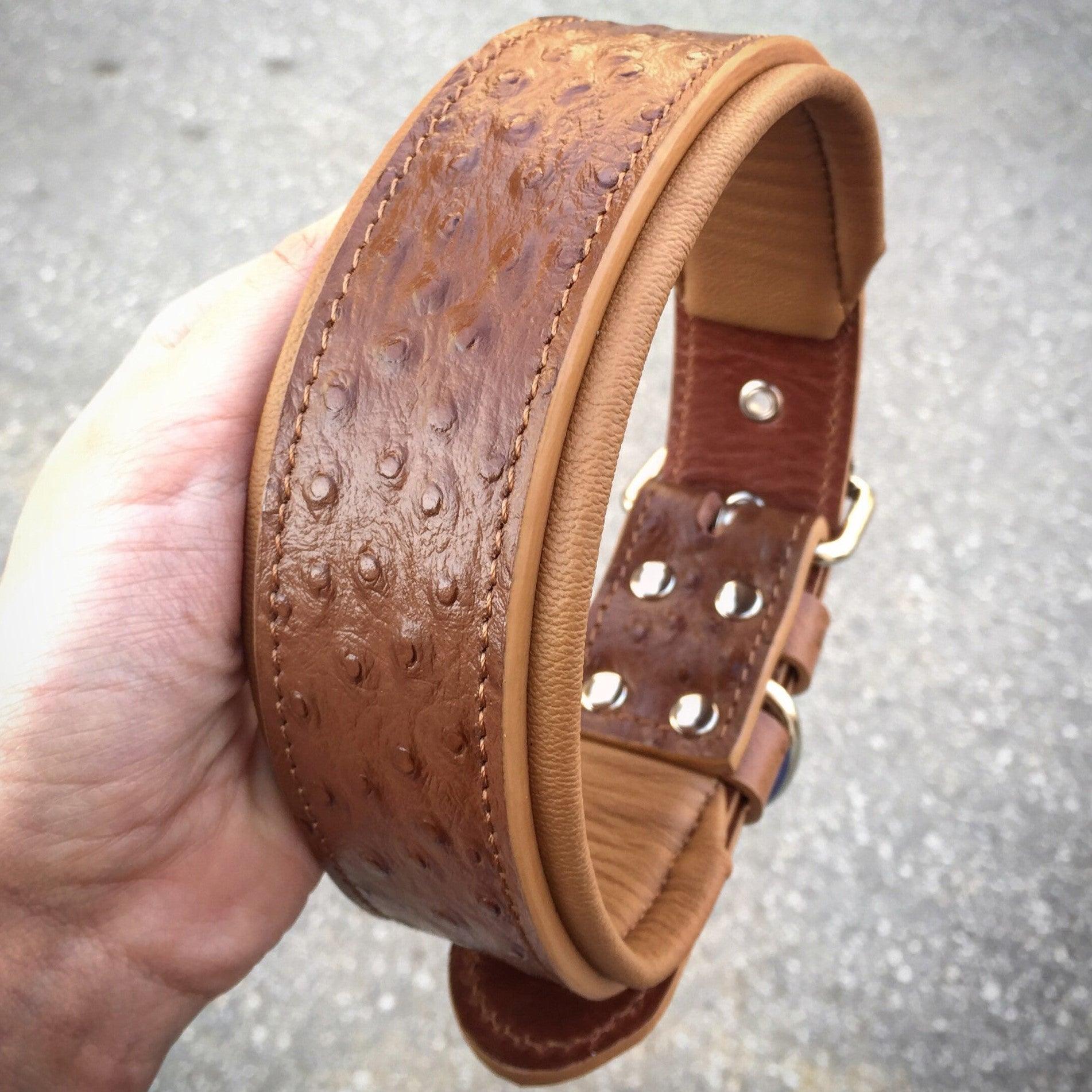 The "Ostrich" collar LIMITED - SJB-DIAMOND ELITES