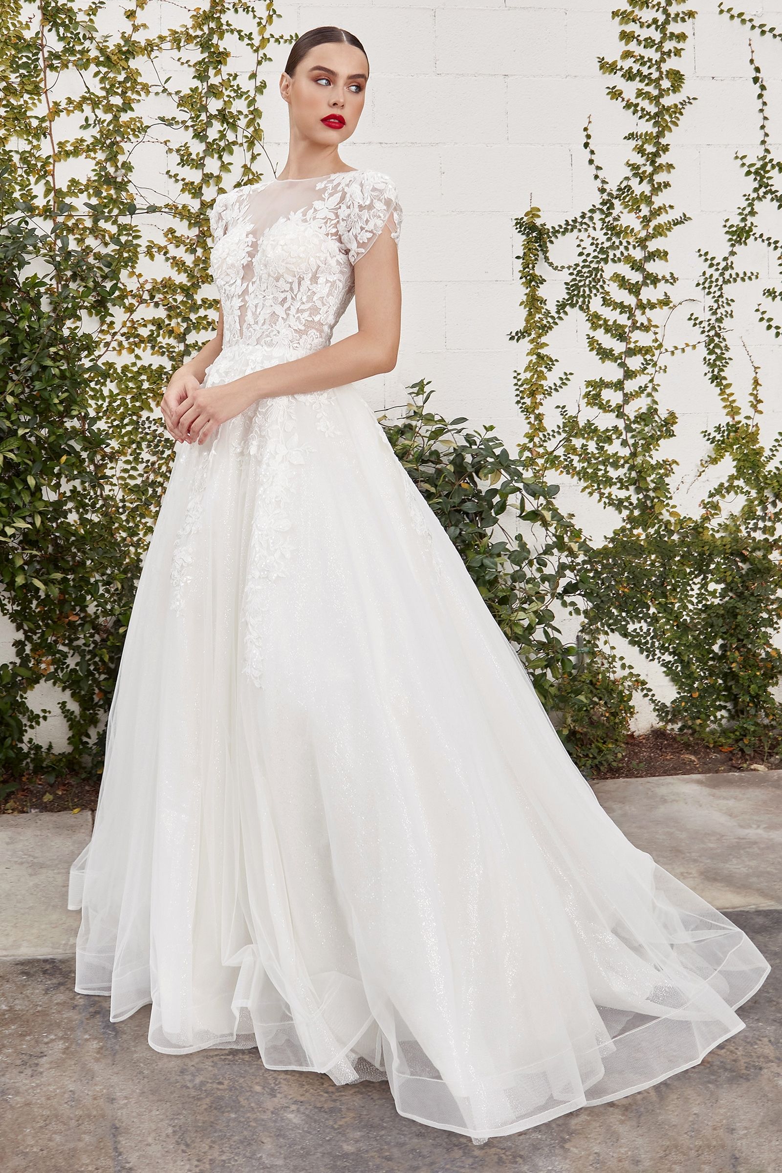 Catherine Cap Sleeve Lace Ball Gown Purplish Diva