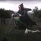 Garden Ghostface Scarecrow Pi-Mart