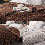 1pc Blanket Flannel/thick Blanket/grey/khaki/royal Blue/white/dark Gray/burgundy/beige/dark Brown/Silvery Gray/taro Purple/green/bedroom/guest Room/living Room/student Dormitory /car/sofa/travel Cute Multifunctional Blanket Lootquake LLC