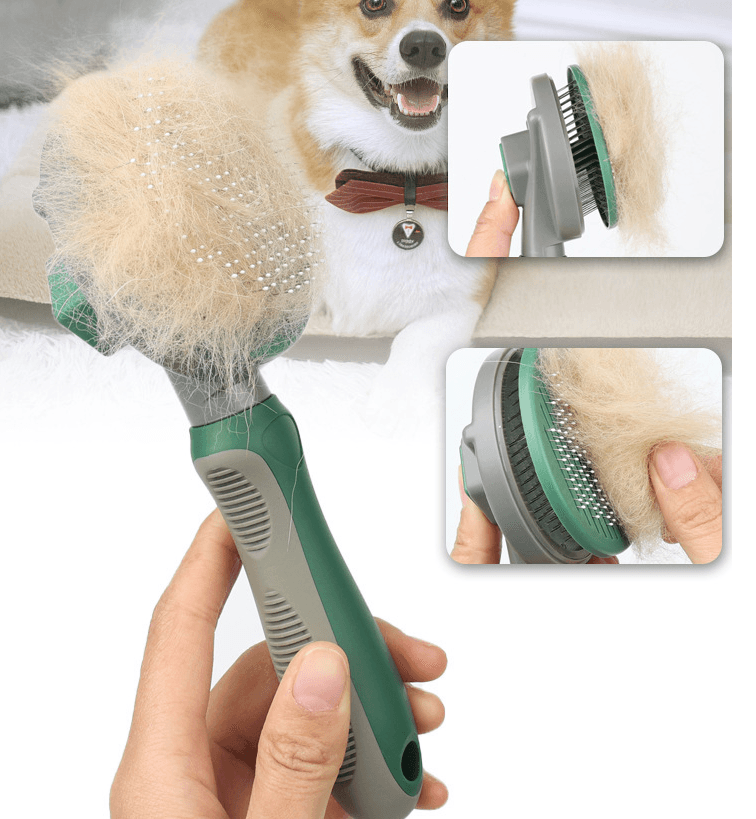 The Hair Whisperer: The Game-Changing Automatic Hair Removal Comb Lootquake LLC