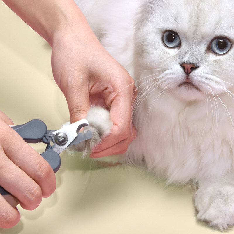 Pet Clipper - SJB-DIAMOND ELITES