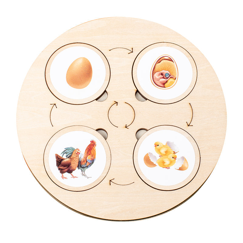 Children's Enlightenment Early Education Toys Montessori Teaching Aids Pi-Mart