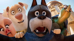 DC League of Super-Pets (DVD)