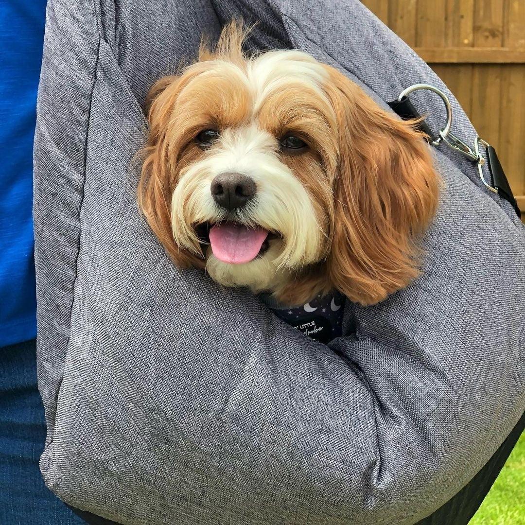 Pet Travel Bed - SJB-DIAMOND ELITES