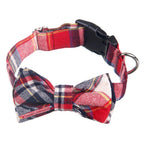 Dapper Pet Collar - SJB-DIAMOND ELITES