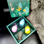 Egg Shell Plus Metal Bracket Makeup Tool Pi-Mart