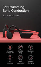 EchoEffex Earphones Pi-Mart