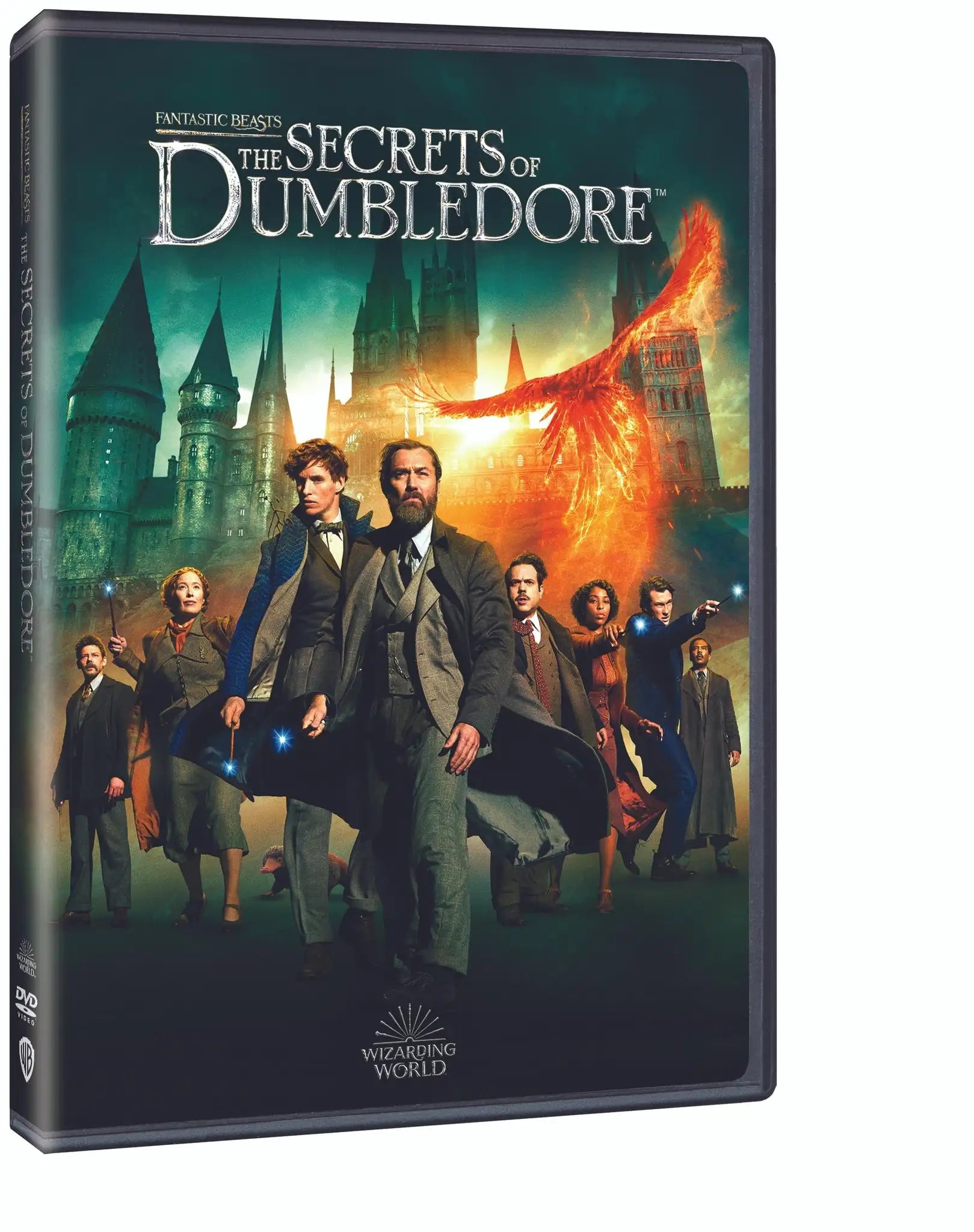 Fantastic Beasts: The Secrets of Dumbledore (DVD)