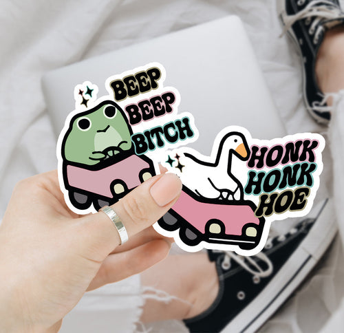 Funny Vinyl Sticker Pack Waterproof Decals For Water Bottle Laptop Journal Luggage Pack BandsCo Straps