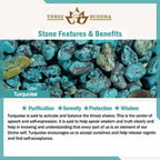Achieving Dreams Turquoise Ring Set Pi-Mart