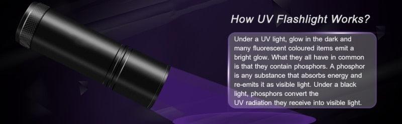 Adjustable Rechargeable UV Flashlight Black Light 21LED 12LED Handheld Portable Torch Light Ultraviolet Flashlight Detector Flashlight Torch For Bed Bug Dog Urine Pet Stains Matching With Pet Odor Eliminator Stevvex
