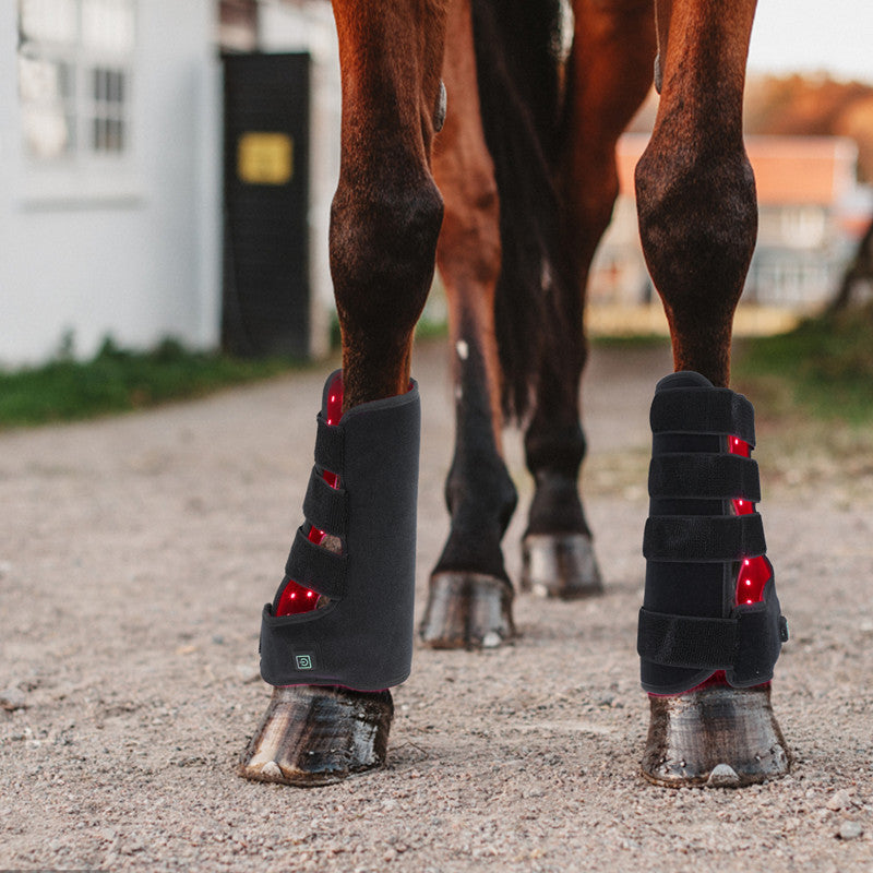 Portable Phototherapy For Horse Legs Lootquake LLC