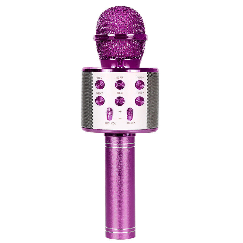 Wireless Bluetooth Colorful Light Microphone Pi-Mart