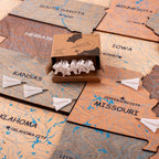 Airplane Push Pins Enjoy The Wood