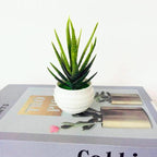 Artificial Succulent Small Simulated Tree Pot Decor Arrangement For Office Table Indoor Outdoor Stair Balcony Garden Home Decor Stevvex