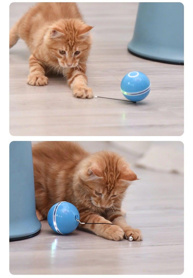 Automatic Smart Cat Toys Ball Interactive Catnip USB Rechargeable Self Rotating Colorful Led Feather Bells Toys for Cats Kitten Build-in Spinning Led Light Stimulate Hunting Instinct Stevvex