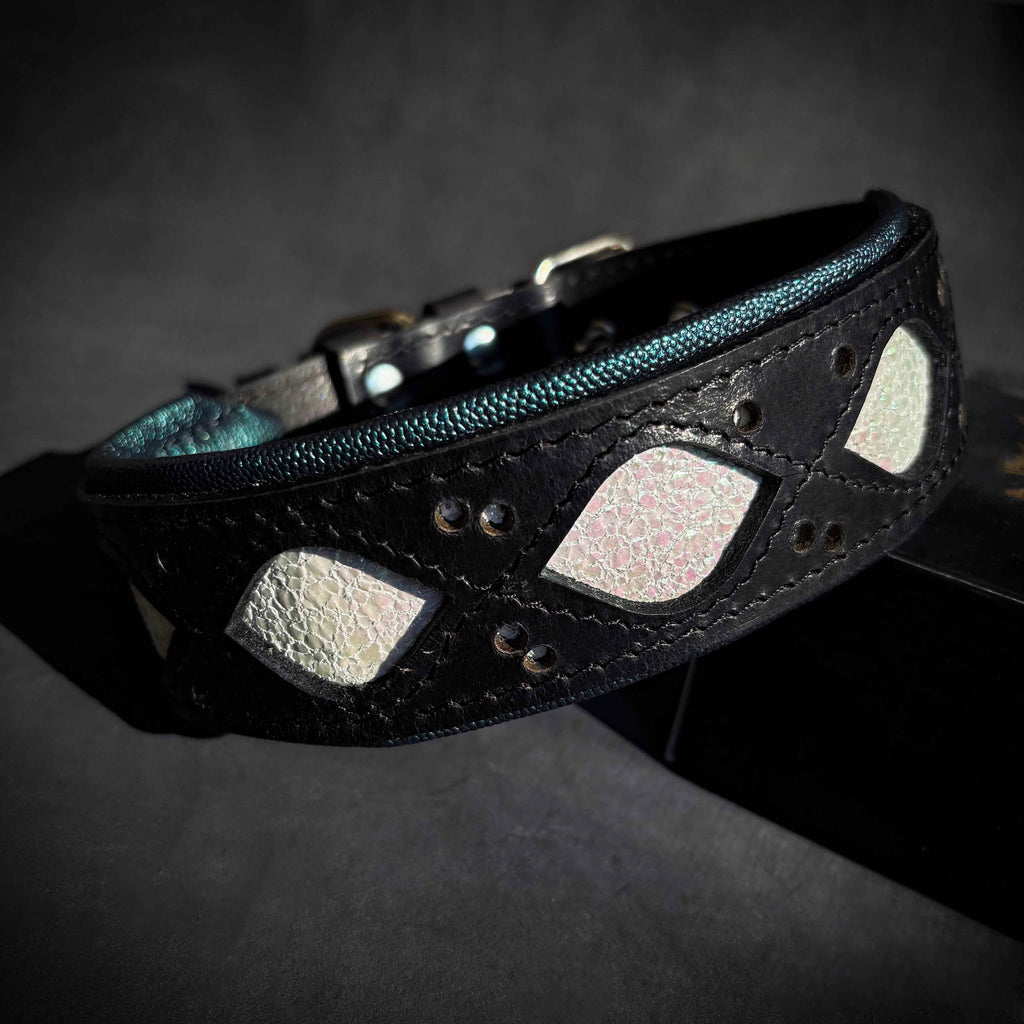 The Avatar Collar Bestia Dog Gear