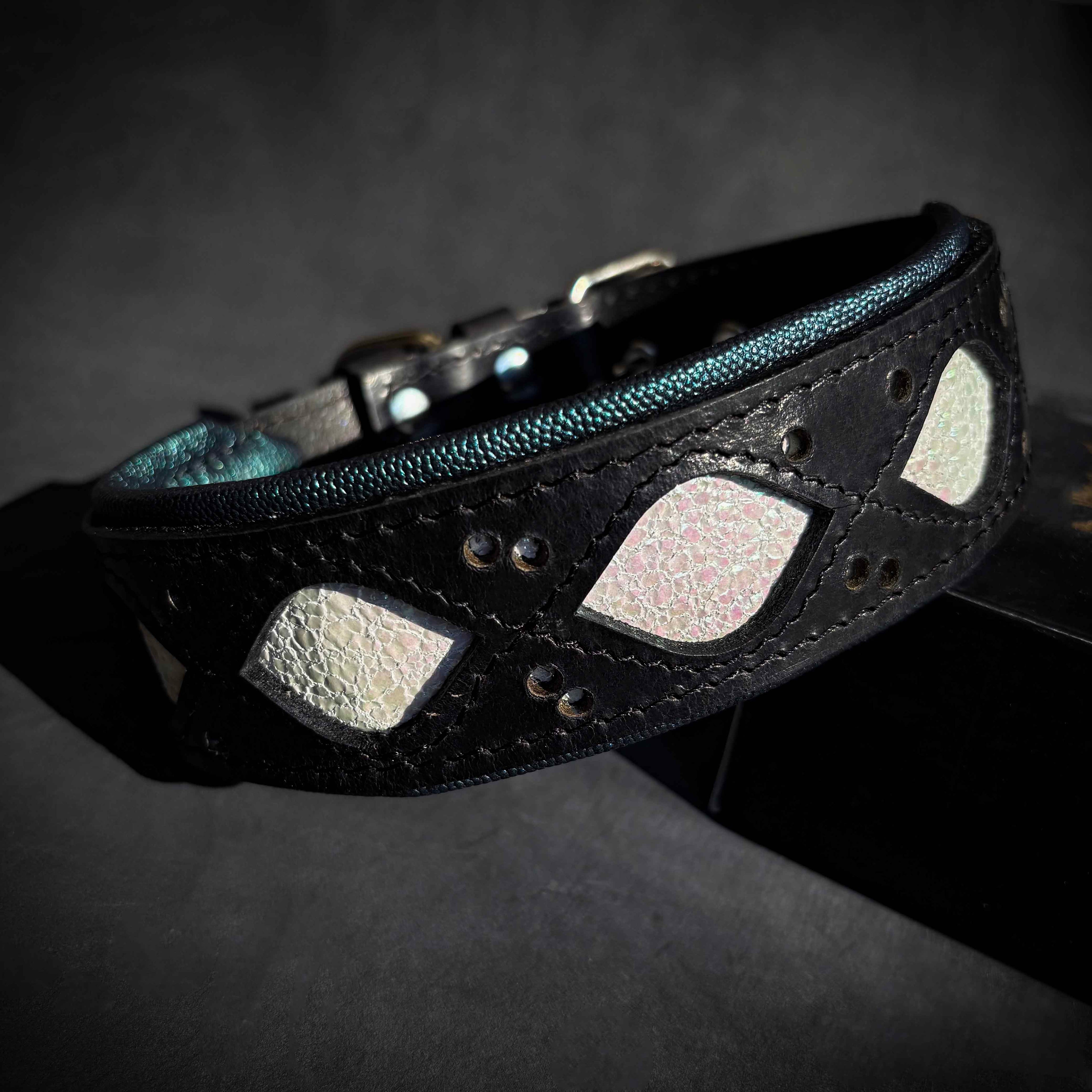 The Avatar Collar Bestia Dog Gear