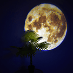 Space Projector Lamp - SJB-DIAMOND ELITES