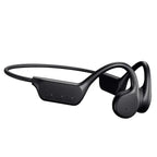 EchoEffex Earphones Pi-Mart
