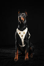 The "Maximus" harness White - SJB-DIAMOND ELITES