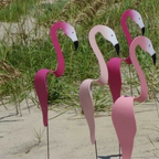 Garden Decoration Pi-Mart
