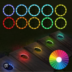 Custom Monogram Family Last Name/Est Cornhole Boards for Backyard/Wedding/Family Gift blastcornhole