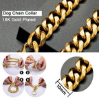 Gold Link Chain Collar for Dogs Pi-Mart