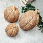 Rattan Resin Pumpkins Fall Decor - Set Or Single, 3 Sizes, Honey Cognac BandsCo Straps