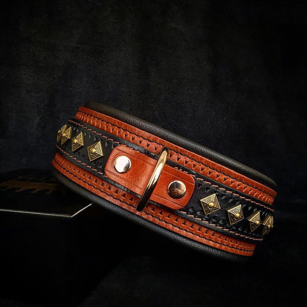 The "Balteus" brown collar - SJB-DIAMOND ELITES