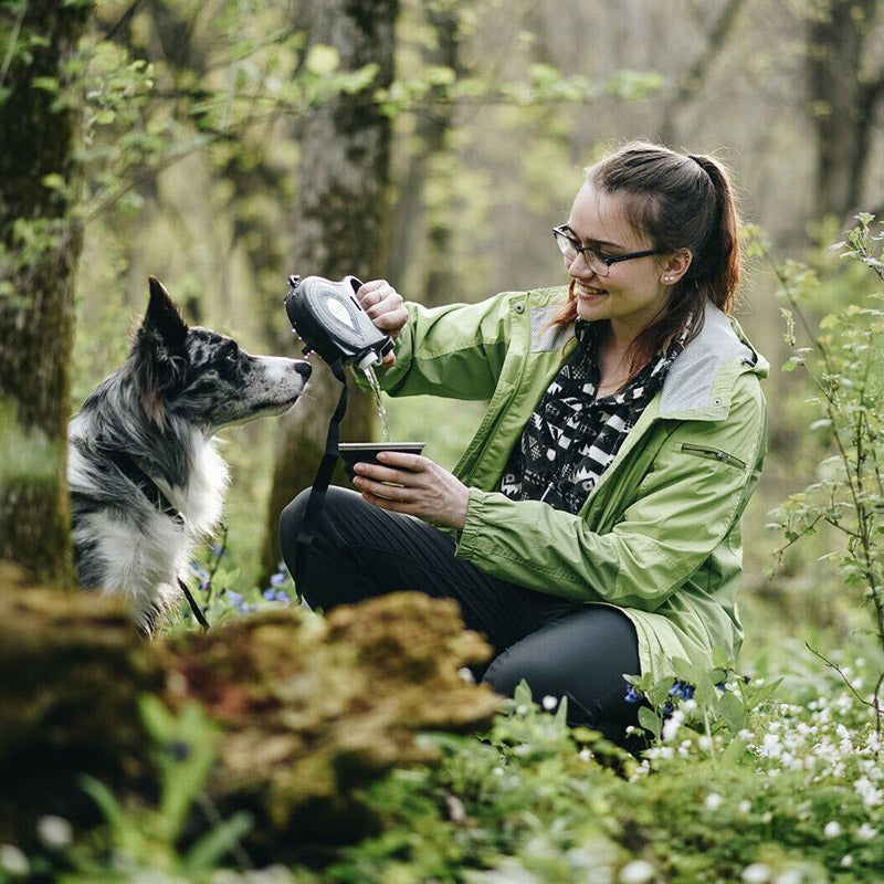 Multifunctional Pet Leash - SJB-DIAMOND ELITES