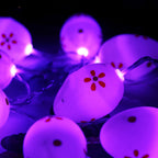 Colorful Flower Dot Easter Egg String Lights Pi-Mart