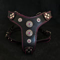 The ''Bijou'' harness Black & Pink Small to Medium Size - SJB-DIAMOND ELITES