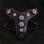 The ''Bijou'' harness Black & Pink Small to Medium Size - SJB-DIAMOND ELITES