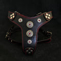 The ''Bijou'' harness Black & Red Small to Medium Size - SJB-DIAMOND ELITES