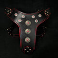 ''Bijou'' harness Black & Red for big dogs - SJB-DIAMOND ELITES
