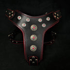 ''Bijou'' harness Black & Red for big dogs - SJB-DIAMOND ELITES