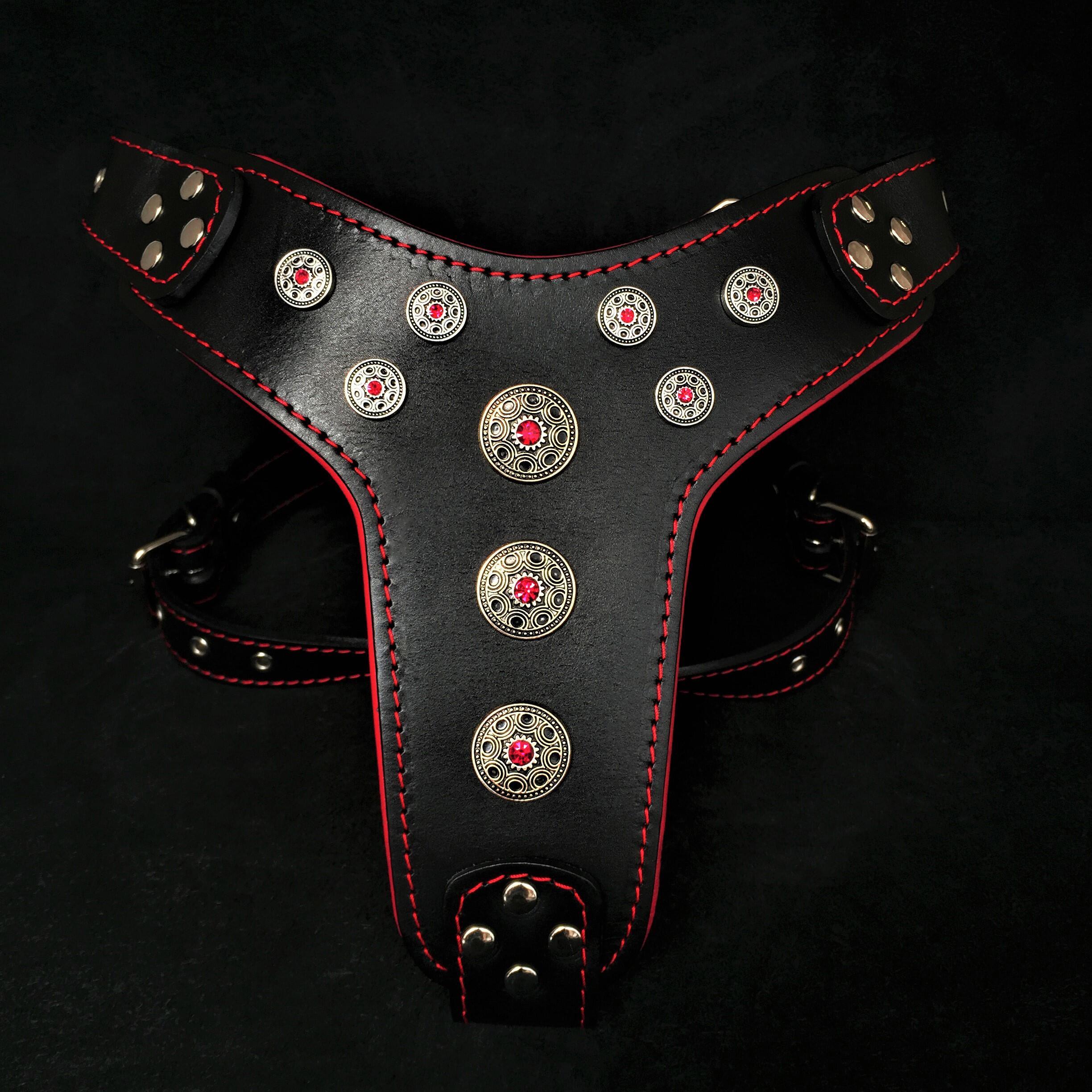 ''Bijou'' harness Black & Red for big dogs - SJB-DIAMOND ELITES